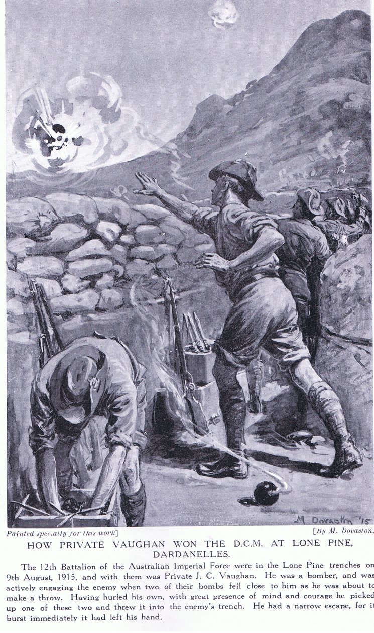 Wie Private Vaughan das DCM in Lone Pine Dardanellen August 1915 gewann von Margaret Dovaston
