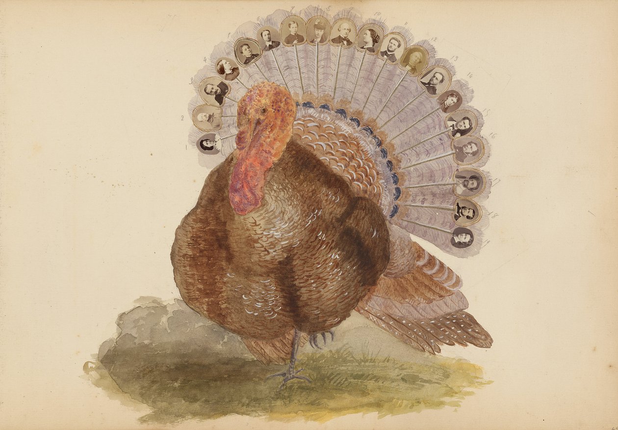 Das Madame B Album von Marie Blanche Hennelle Fournier