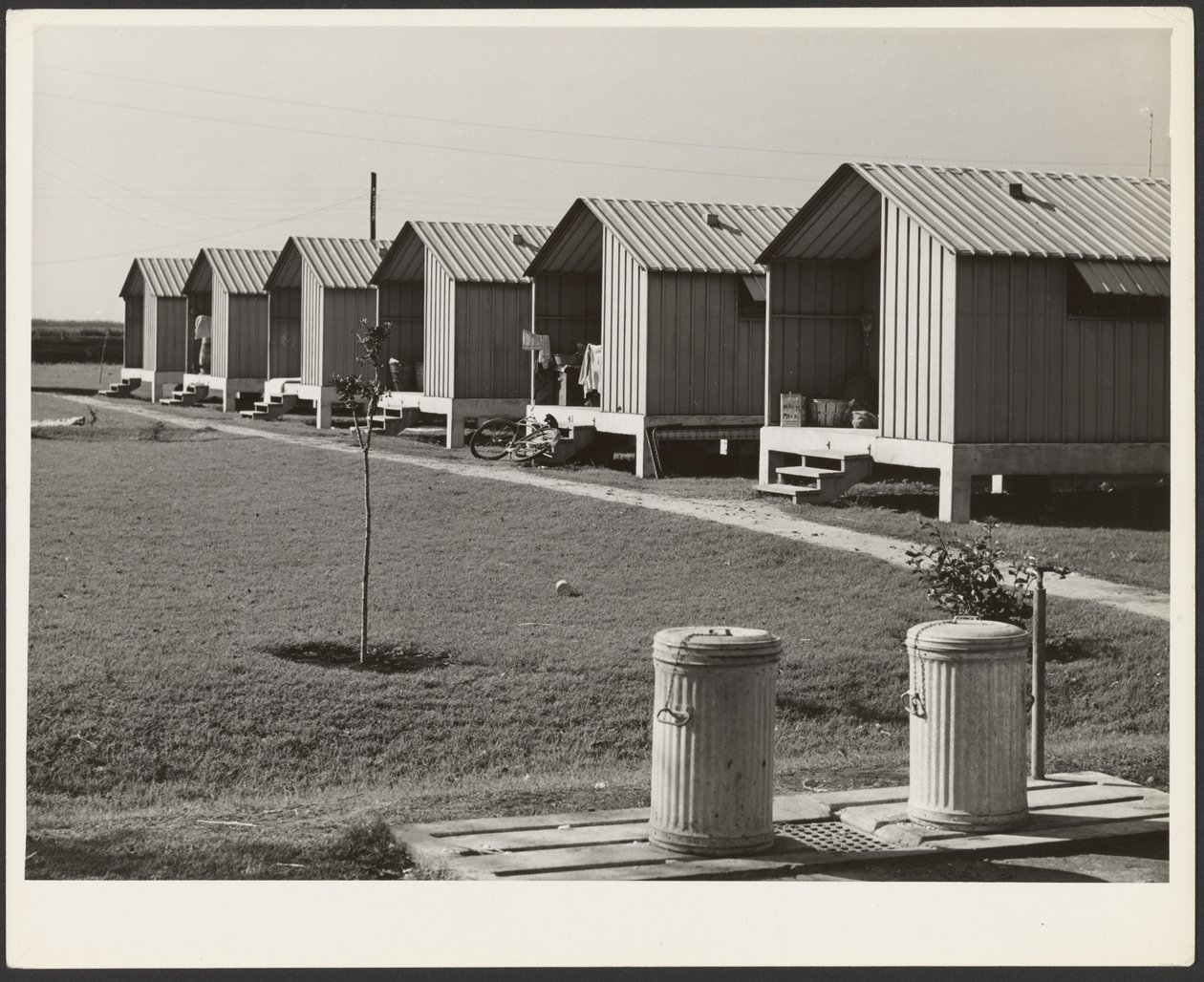 Unterkünfte für wandernde Gemüseernter, Osceola Arbeitslager, gebaut von FSA, Belle Glade, Florida von Marion Post Wolcott