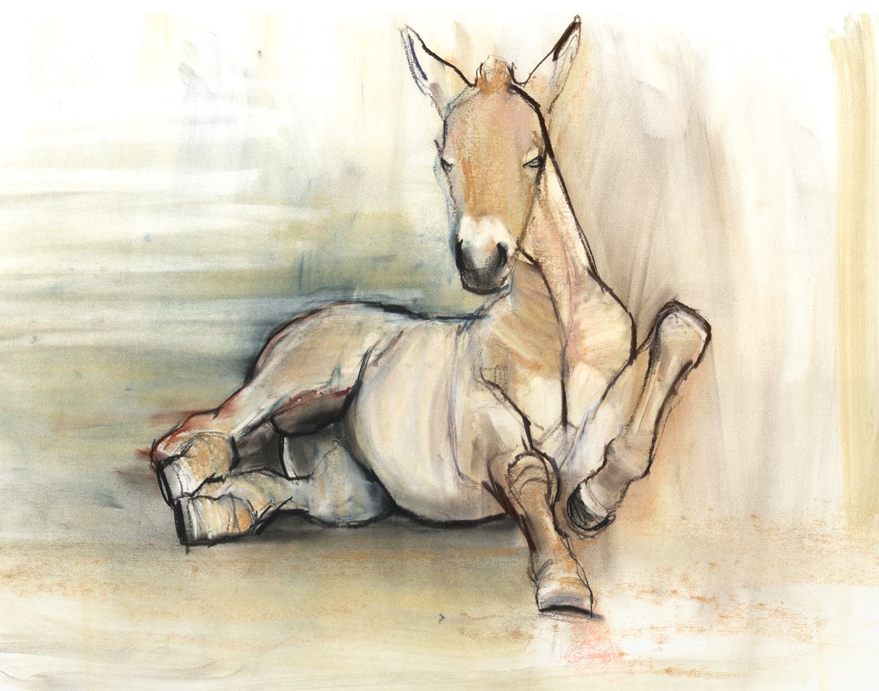 Fohlen, 2012 von Mark Adlington