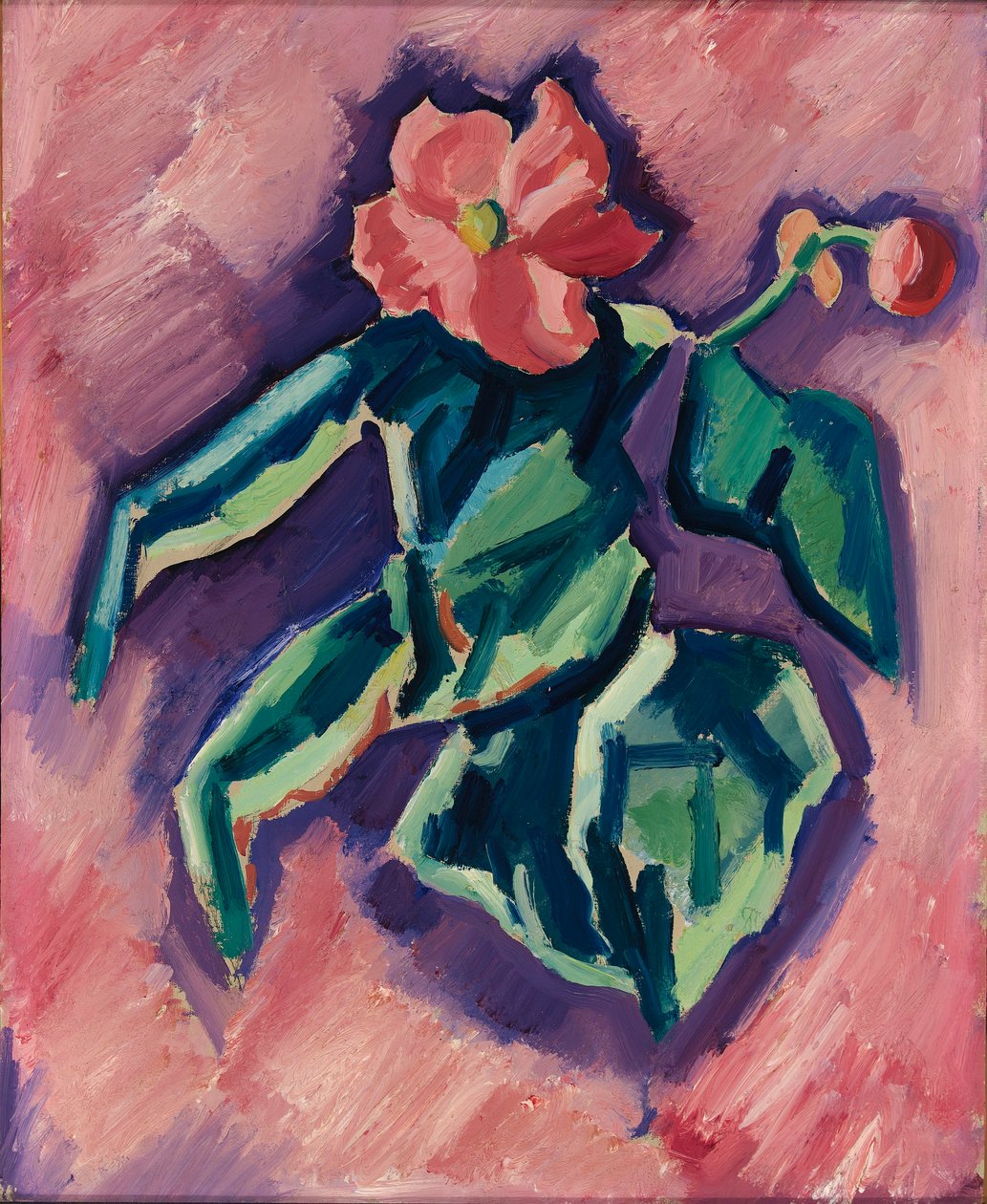 Rosa Begonien von Marsden Hartley