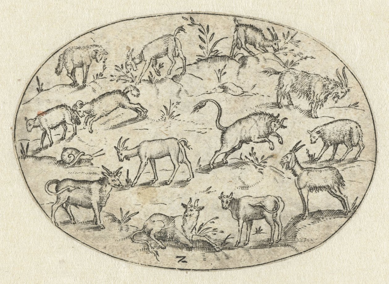 Oval mit dreizehn Ziegen von Martin Pleginck