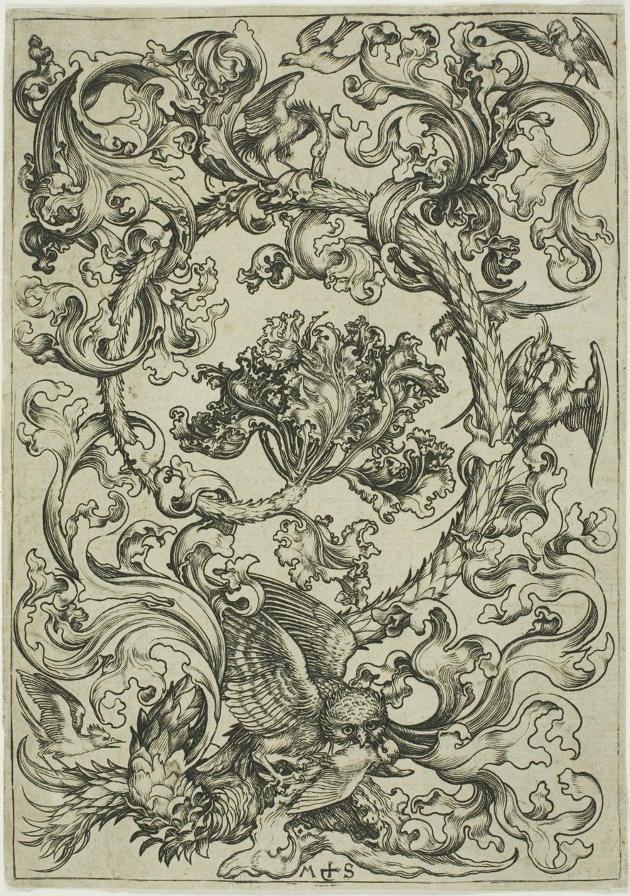 Ornament mit Eule, verspottet von Tagvögeln von Martin Schongauer