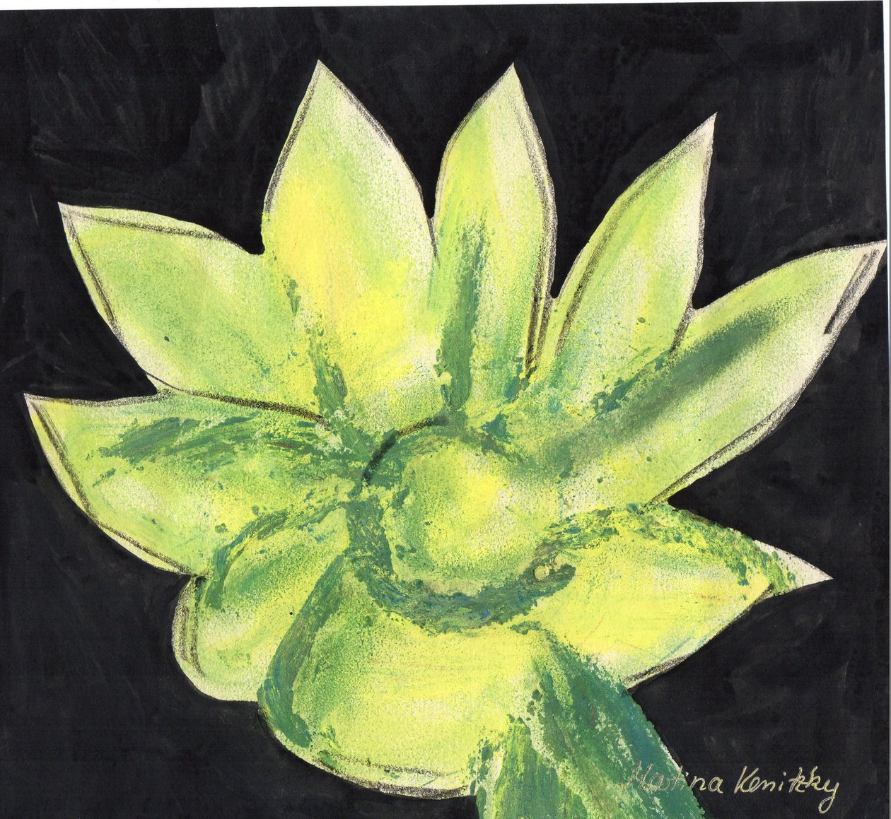 Kaktus von Martina Konitzky