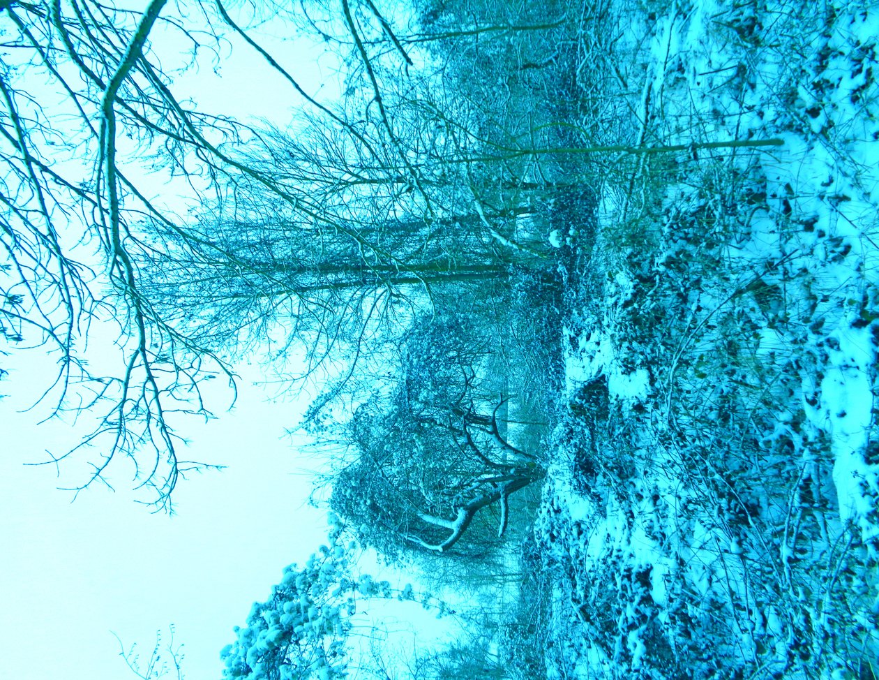 Winter Blau von Martina Konitzky