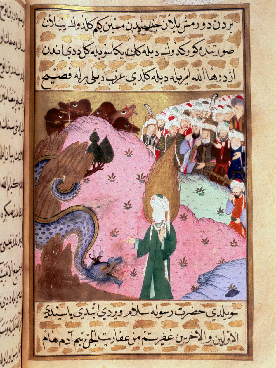 Muhammad, stellt das verborgene Gesicht dar, zähmt eine Schlange. Miniatur aus 