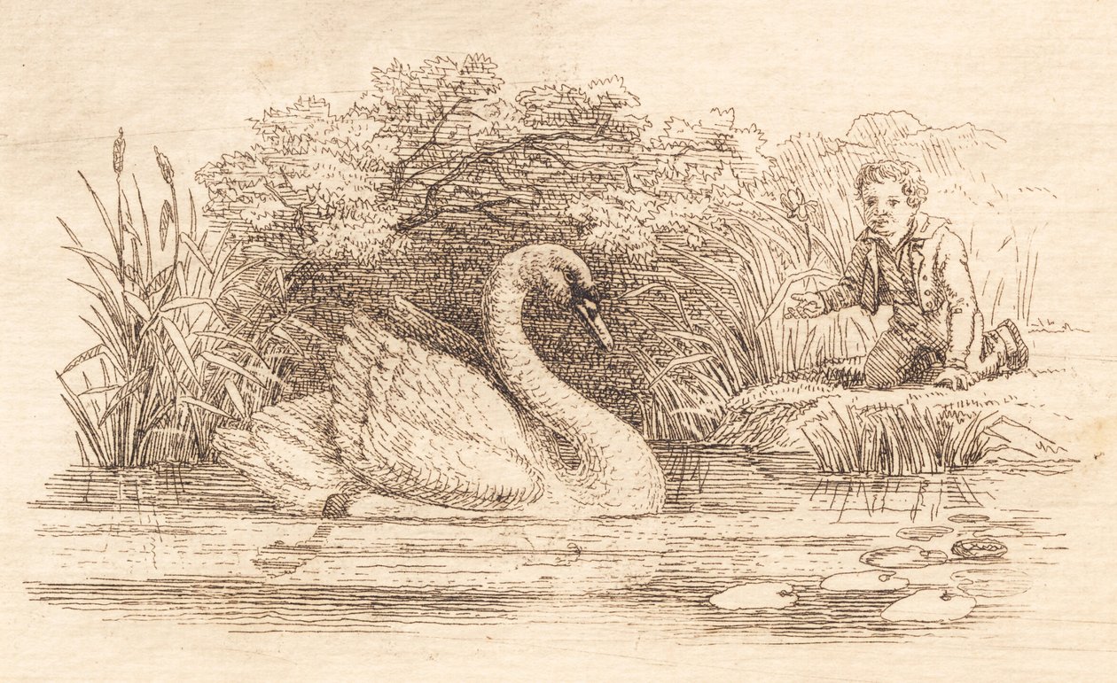 Illustration zu "Halvhundrede Fabler for Børn" von Hey von Martinus Rørbye