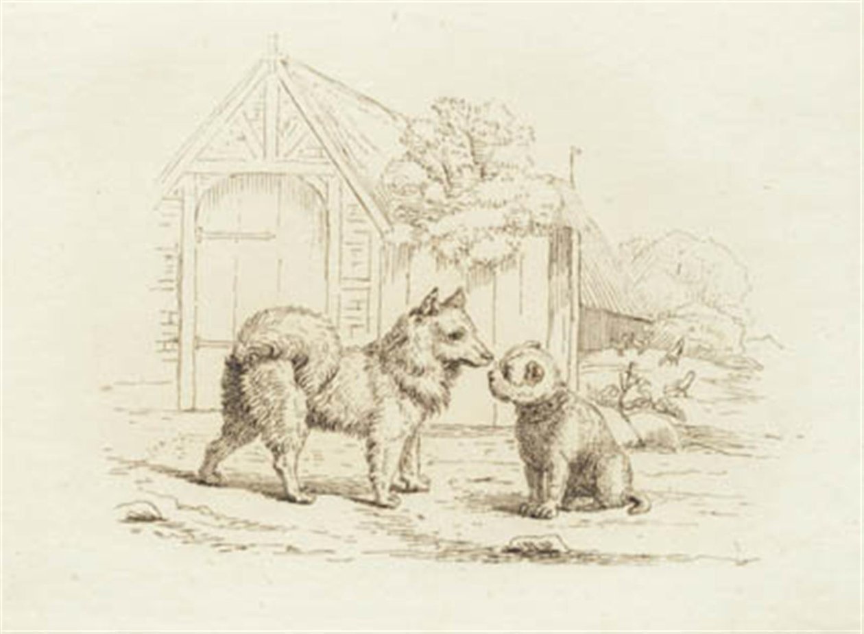 Illustration zu "Fünfzig Fabeln für Kinder" von Hey von Martinus Rørbye