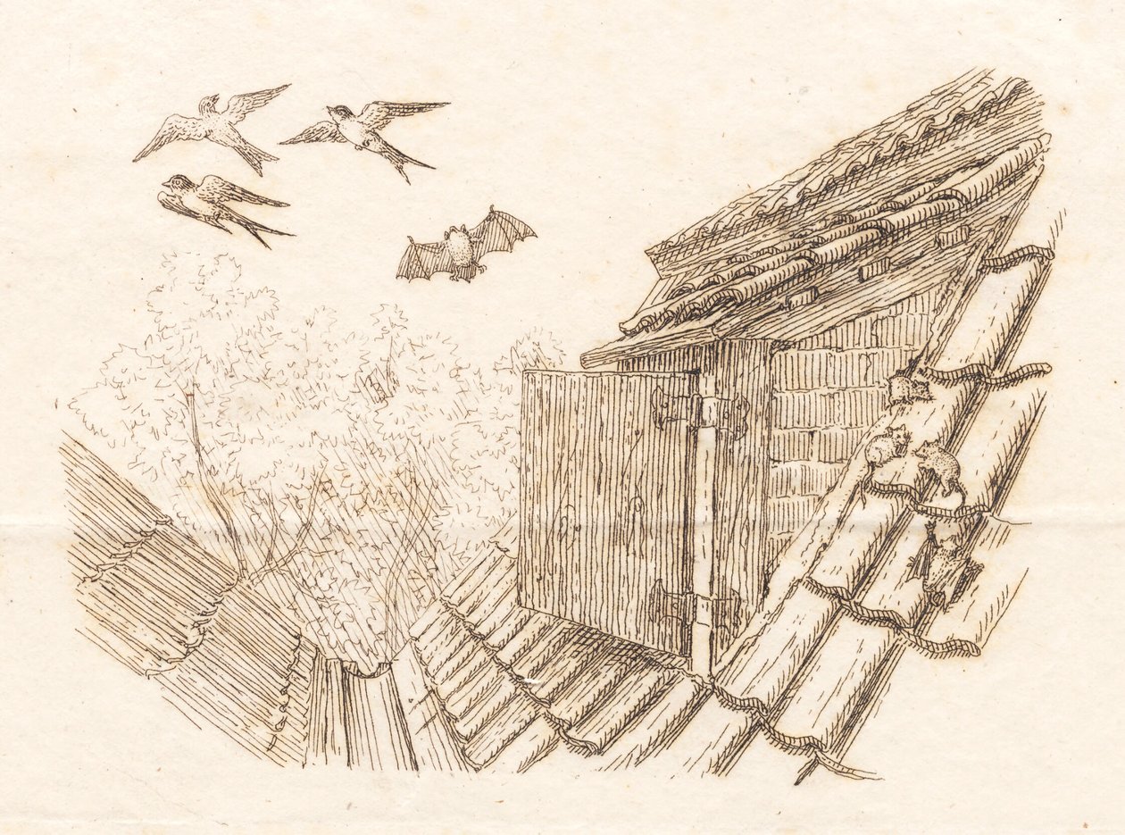 Illustration zu "Halvhundrede Fabler for Børn" von Hey von Martinus Rørbye