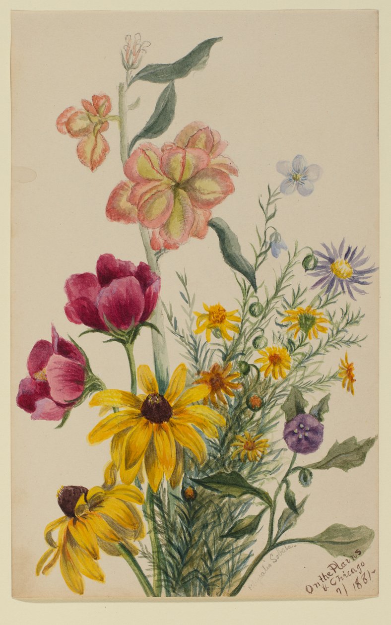 Blumengruppe von Mary Vaux Walcott