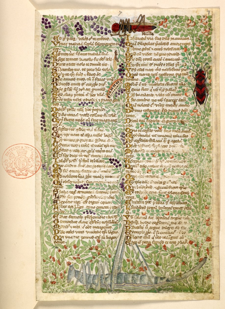 Blumen, Früchte und Insekten, einschließlich einer Heuschrecke und einer Heuschrecke, aus einer Abhandlung über die Tugenden und Laster und eine anonyme Prosa-Geschichte Siziliens (Fragment) von Master of the Cocharelli Codex