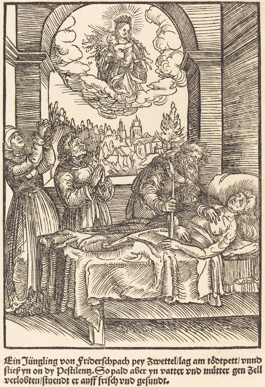 Ein Jüngling von Friderschpach von Master of the Miracles of Mariazell