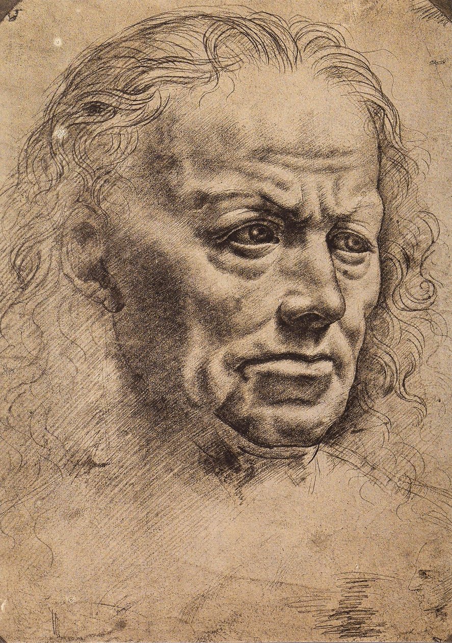 Kopf eines Mannes von Master of the Pala Sforzesca