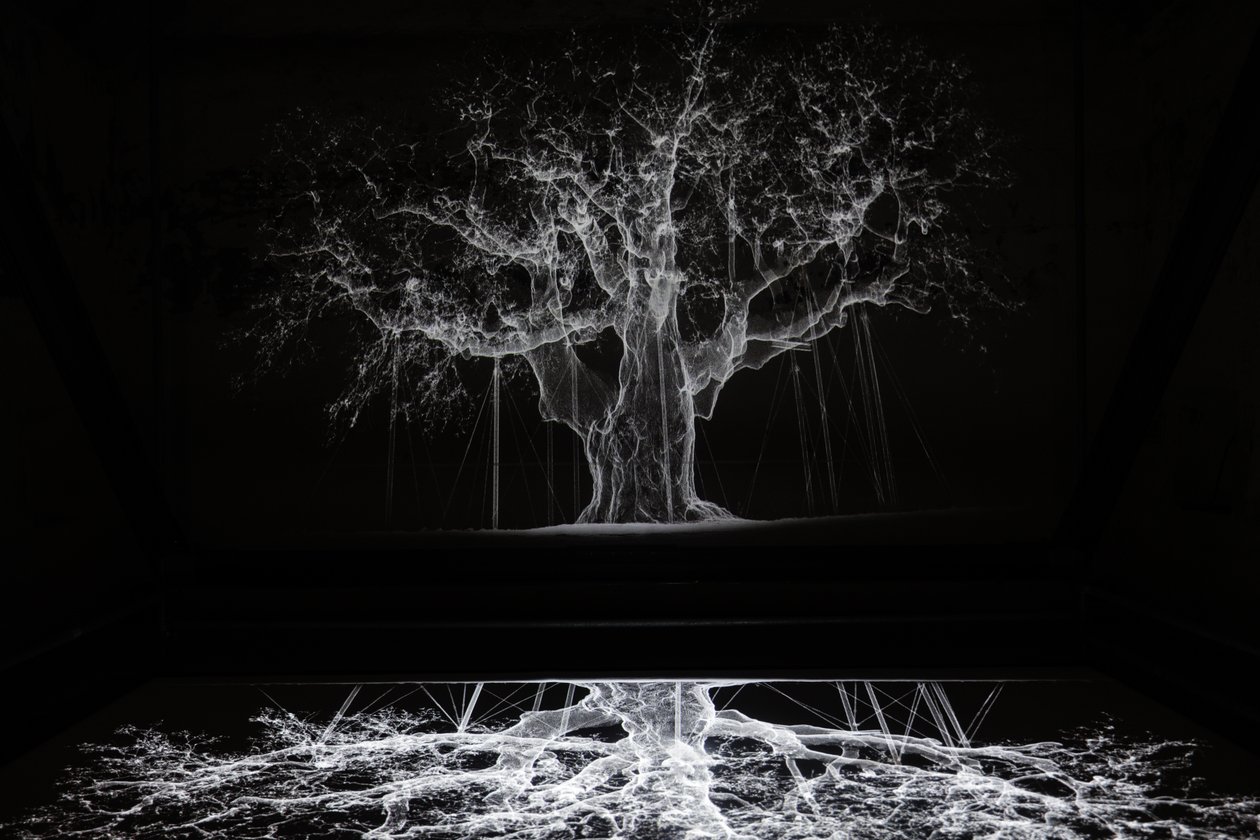 Albion von Mat Collishaw