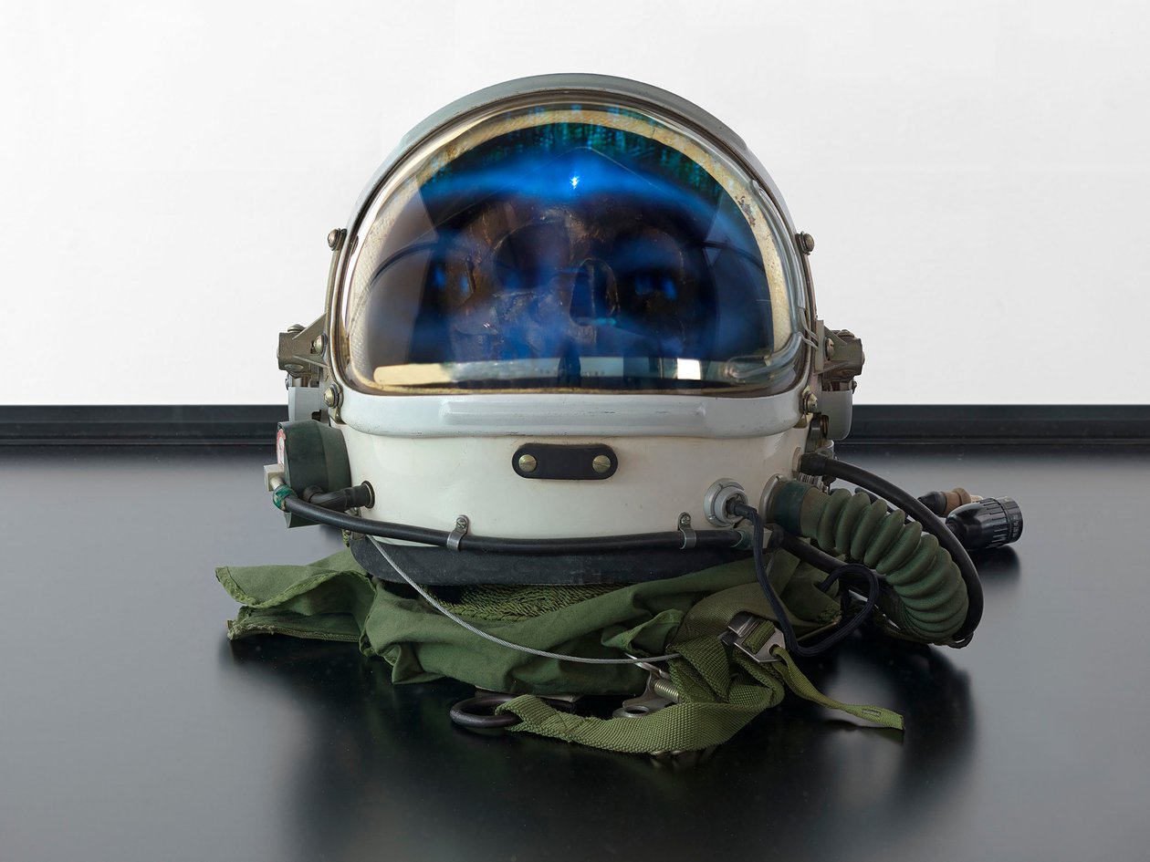 Alpha Omega, 2016 von Mat Collishaw