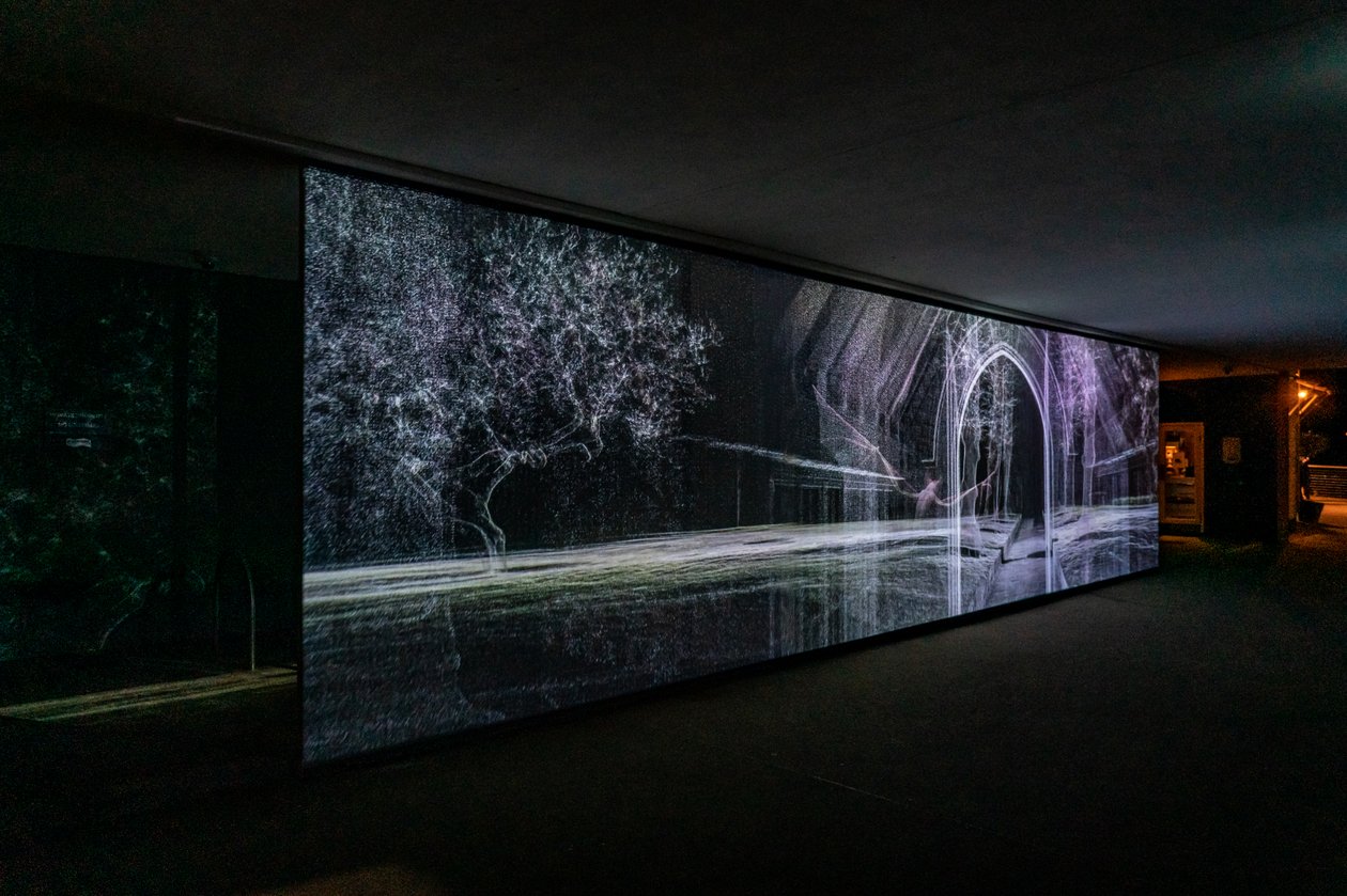 Echolokation, 2021 von Mat Collishaw