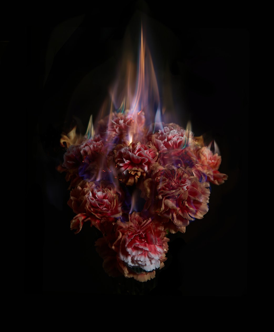 Verblassende Erinnerungen an die Sonne, 2013 von Mat Collishaw