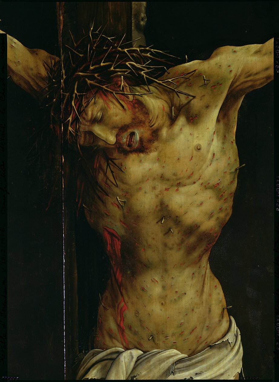 Die Kreuzigung aus dem Isenheimer Altar, Detail des Torsos Christi, ca. 1512-16 (Detail) von Matthias Grünewald