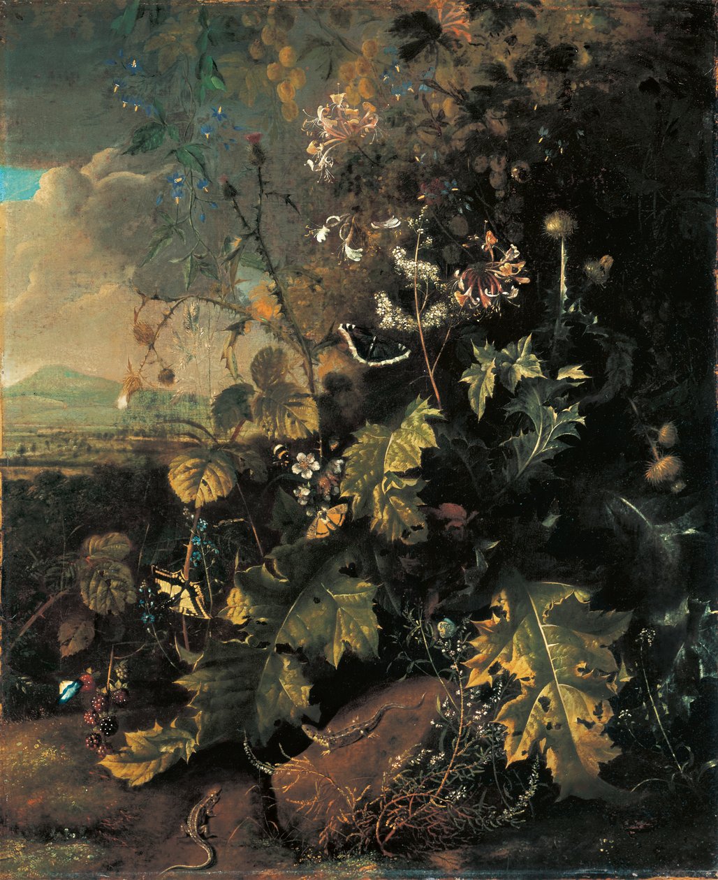 Waldboden mit Schmetterlingen und Eidechsen von Matthias Withoos