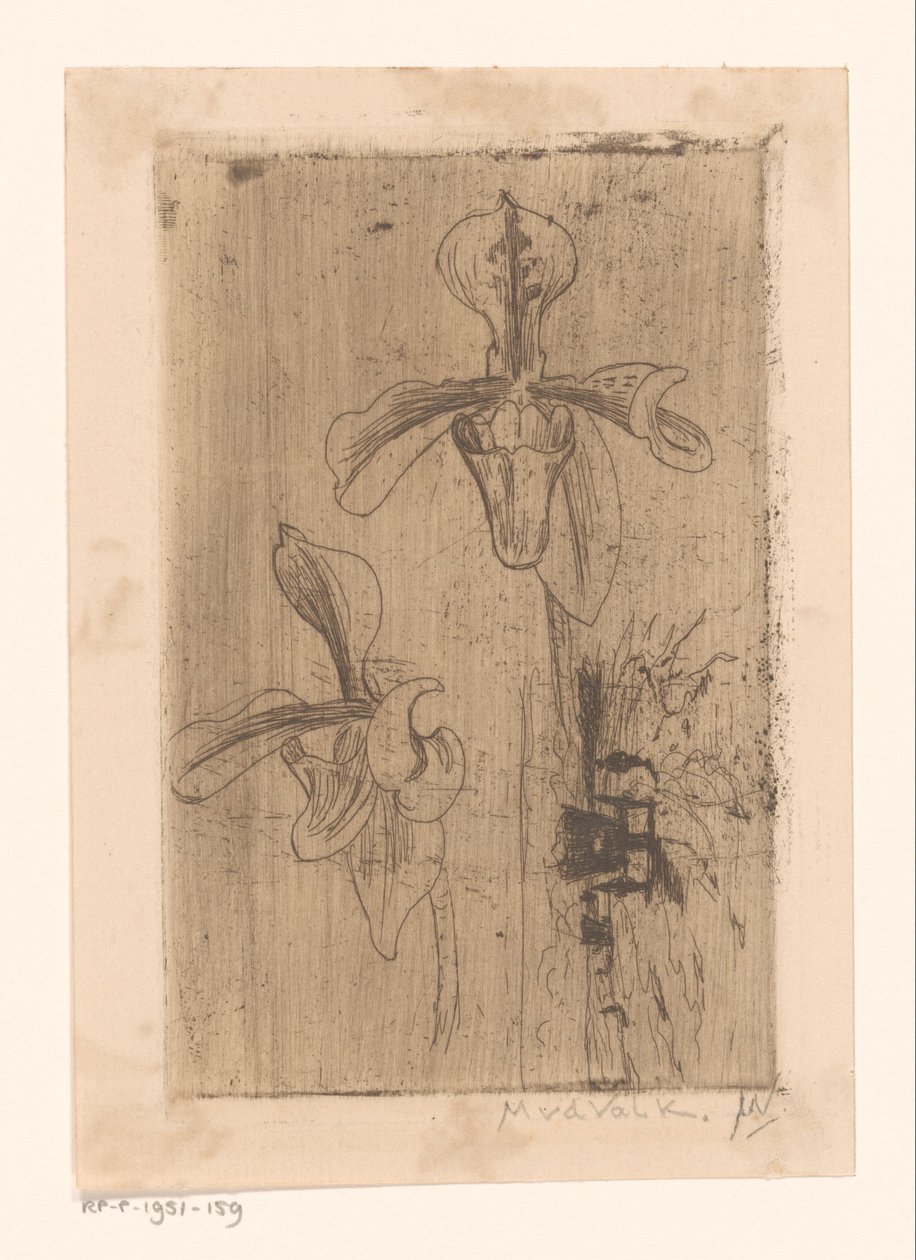 Zwei Orchideen und ein Wagen am Strand von Maurits van der Valk (signed by artist)