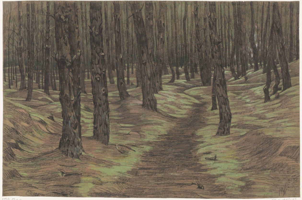 Kiefernwald von Maurits van der Valk