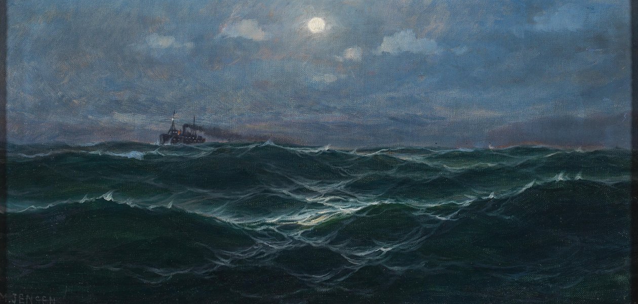 Dampfer auf hoher See von Max Jensen