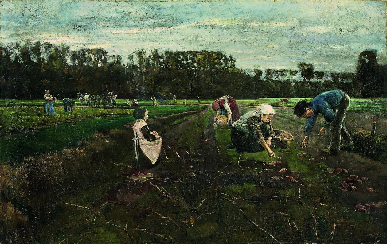 Kartoffelernte von Max Liebermann