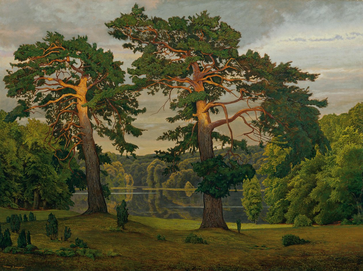 Kiefern am Waldrand von Max Zaeper