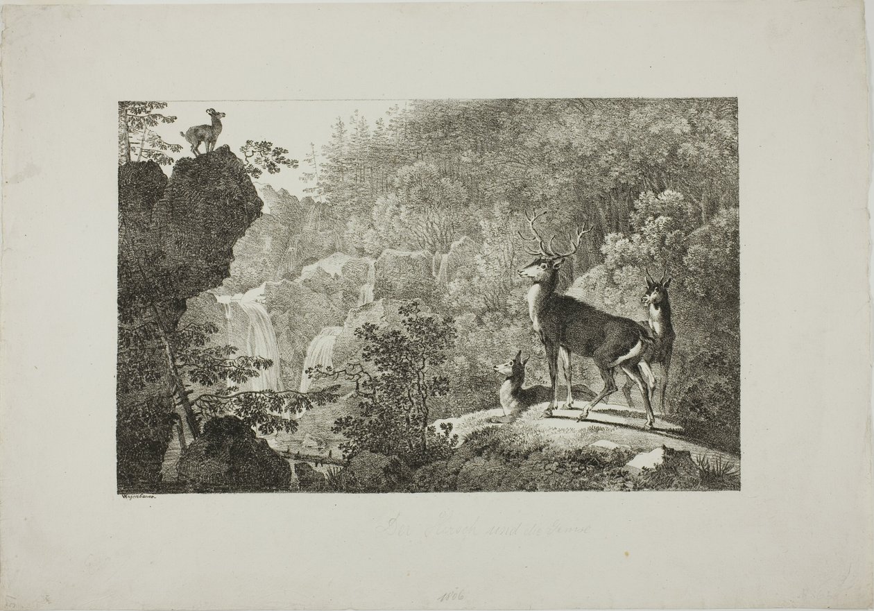 Der Hirsch und die Gämse von Maximilian Josef Wagenbauer