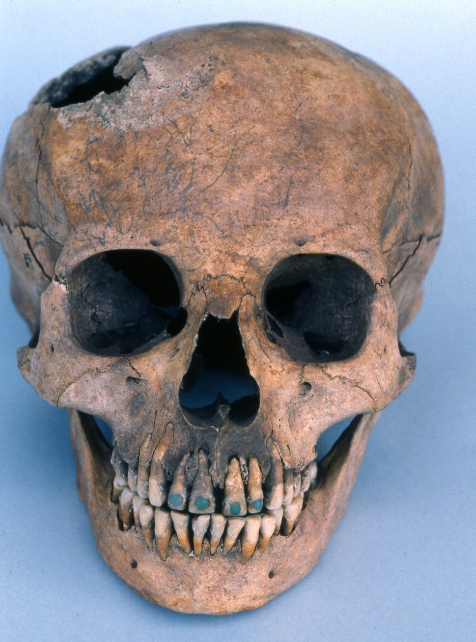 Schädel mit jadebesetzten Zähnen, 1990 von Mayan