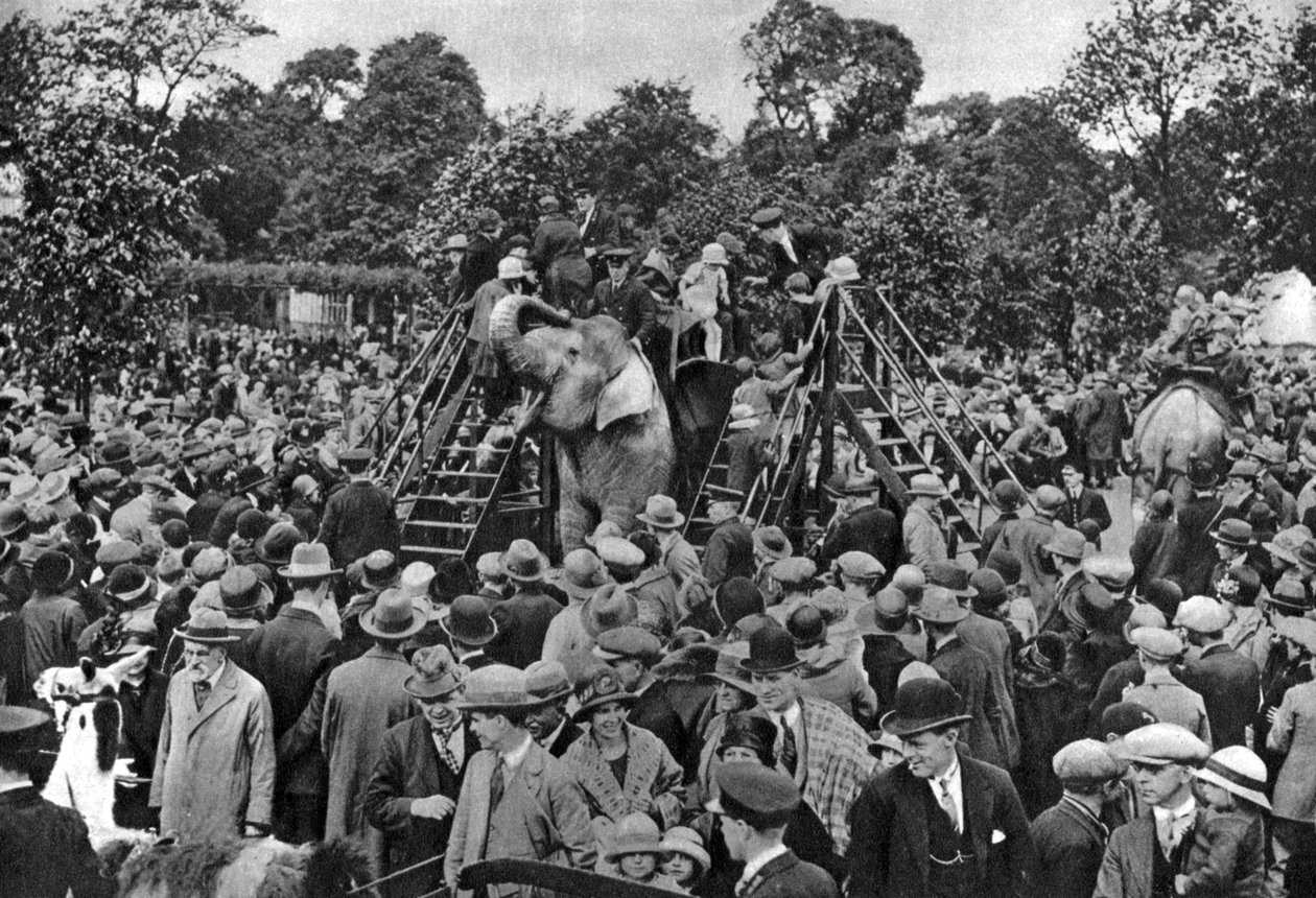 Elefantenreiten im Londoner Zoo von McLeish