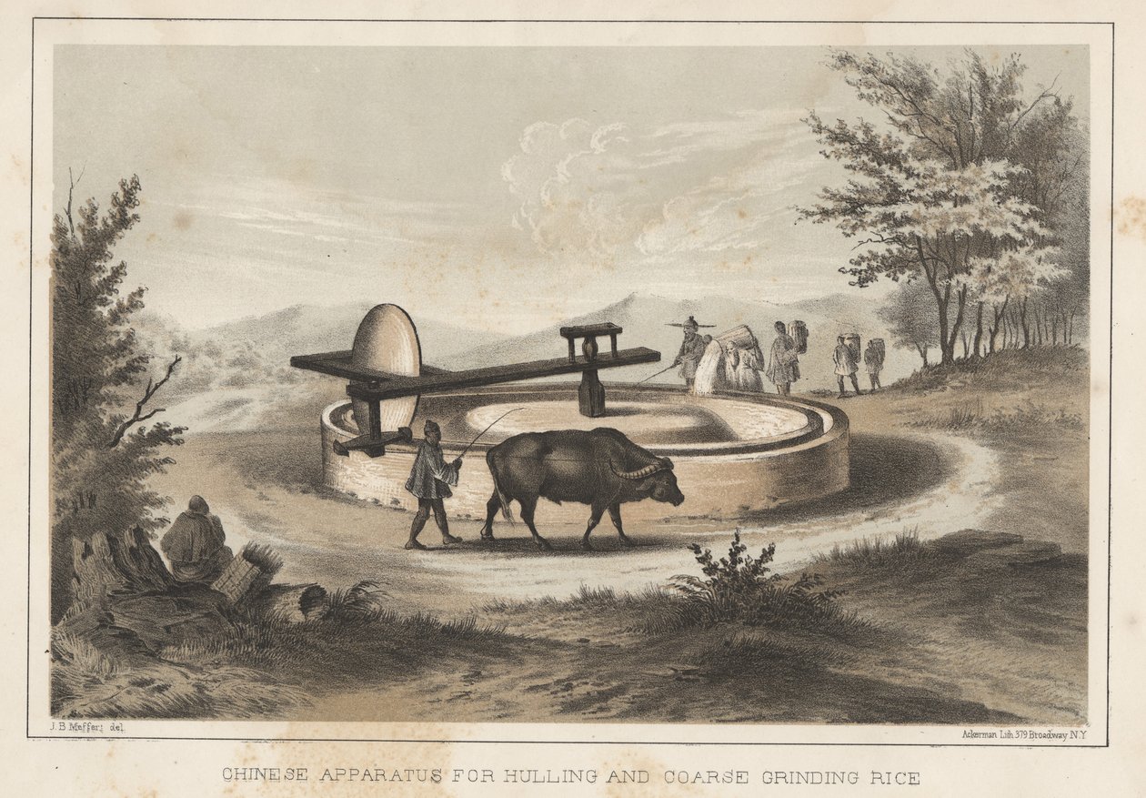 Chinesisches Gerät zum Schälen und groben Mahlen von Reis, 1855 von Meffert