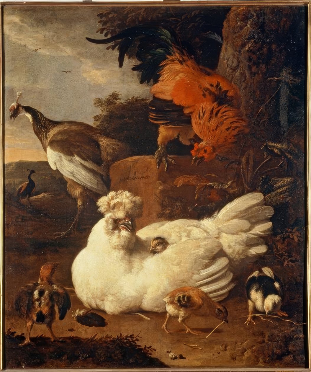 Glucke mit Küken von Melchior de Hondecoeter