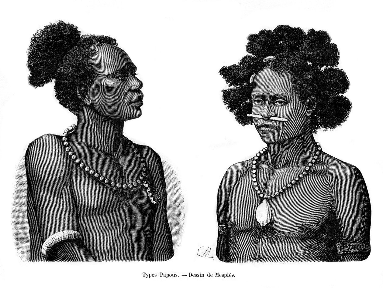 Papua-Typen, 19. Jahrhundert von Mesples