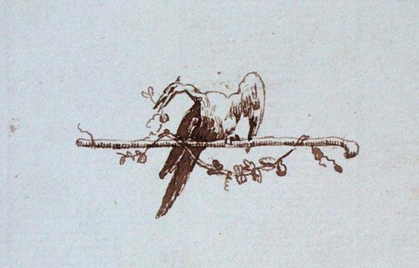 Zeichnung aus Michael Faradays Sammelalbum von Michael Faraday