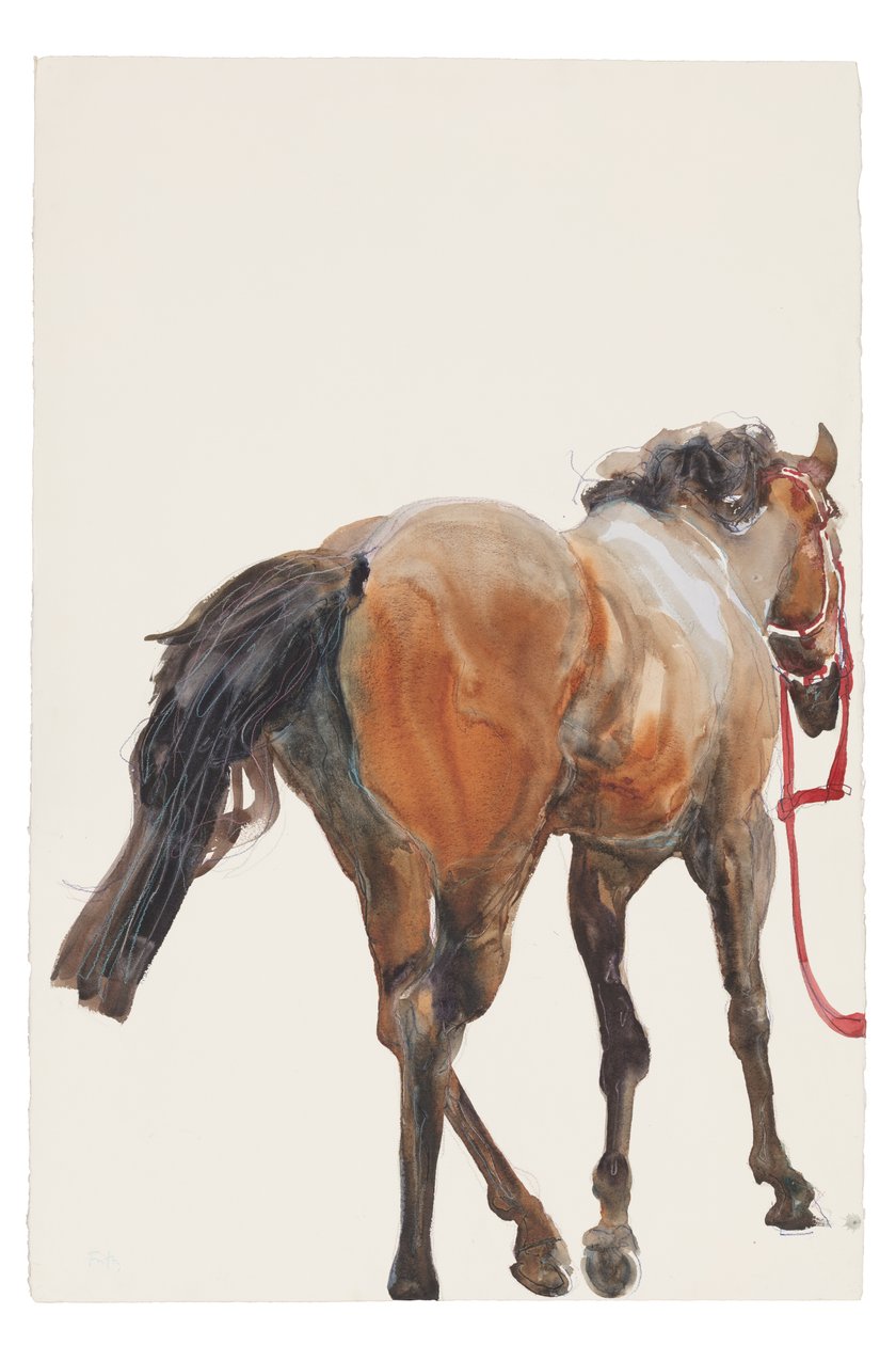 Ohne Titel, 2018 von Michael Frith