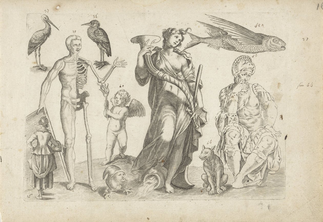 Studienblatt mit Zeichenbeispielen: Tiere und verschiedene Figuren von Michael Snijders