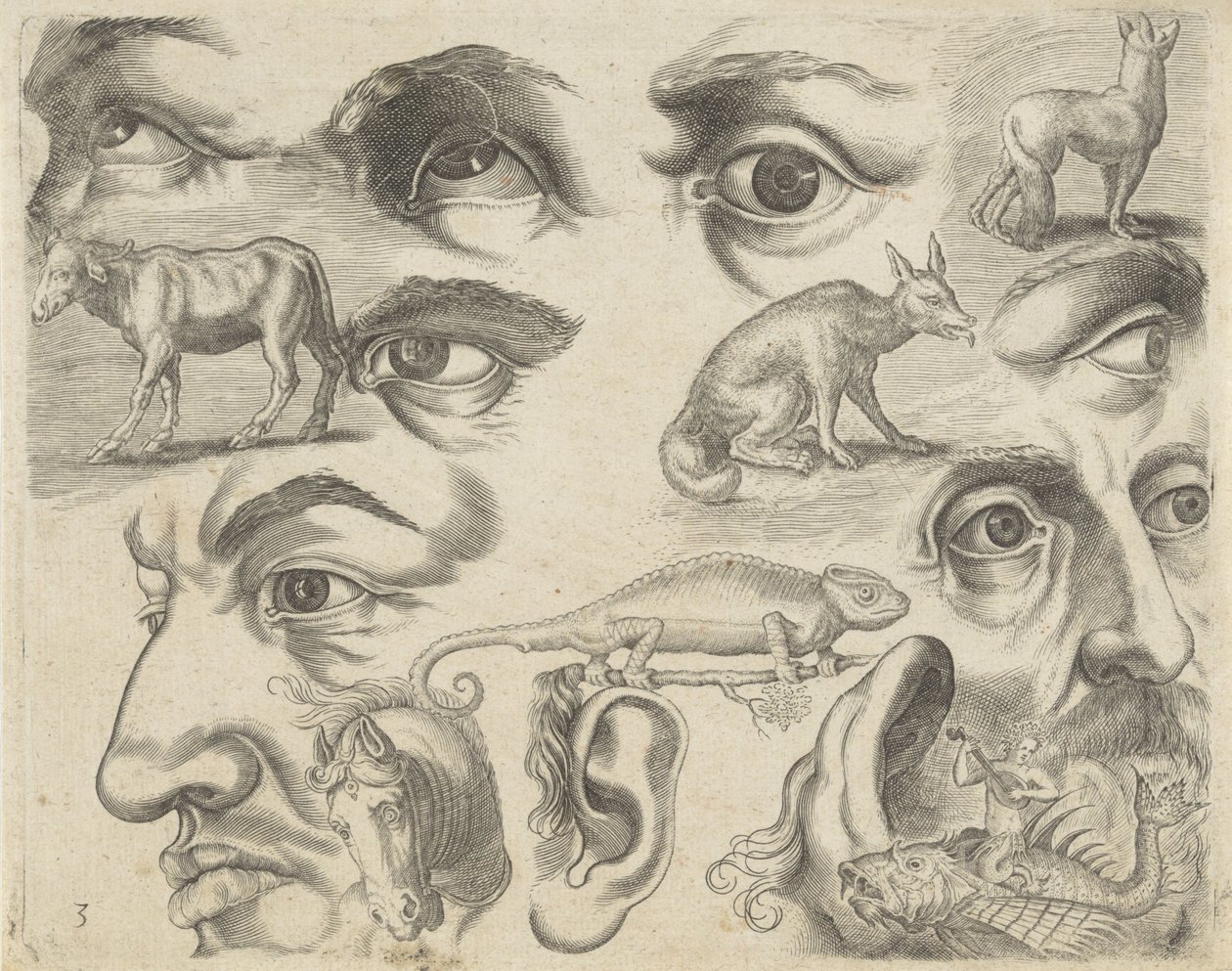 Studienblatt mit Zeichenbeispielen: Augen, Köpfe und Tiere (Serie) von Michael Snijders