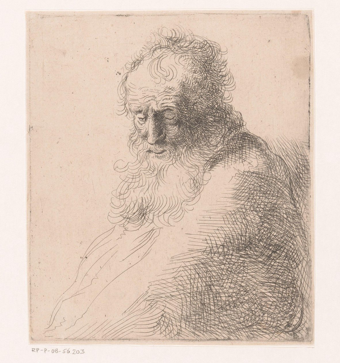 Büste eines alten Mannes mit Bart von Michael Willmann (attributed to)