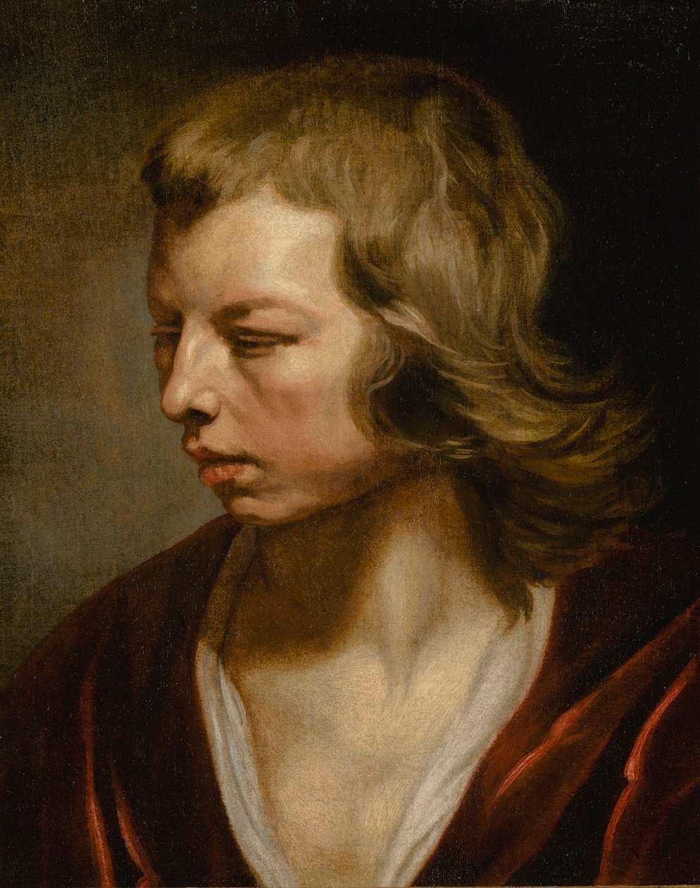 Studie eines Jungen von Michaelina Wautier