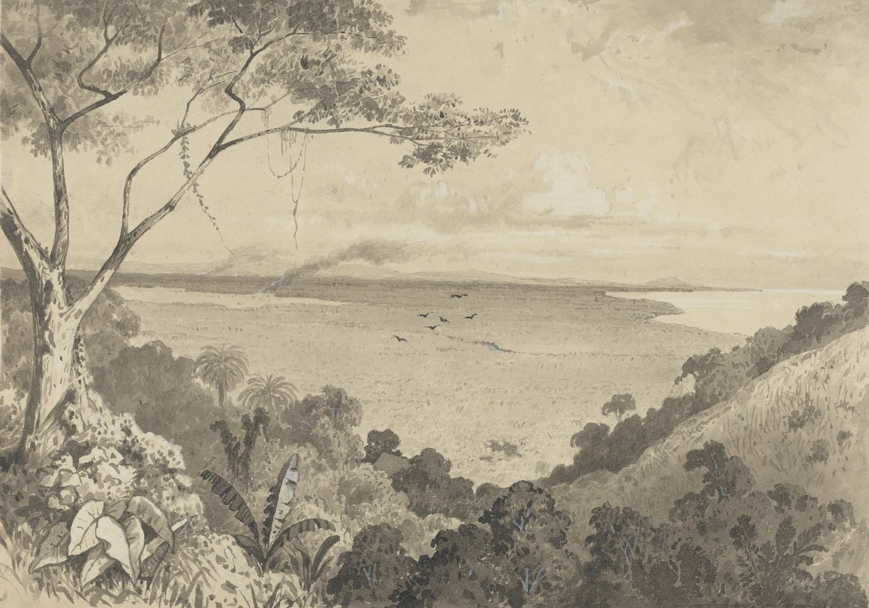 Blick vom Laventille Hill von Michel Jean Cazabon