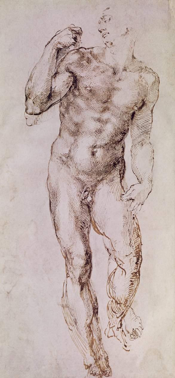 Skizze von David mit seiner Schleuder, 1503-4 von Michelangelo Buonarroti
