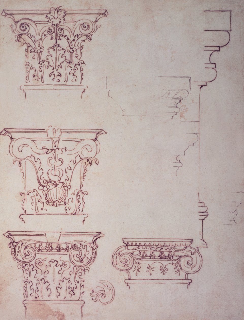 Studien für ein Kapitell von Michelangelo Buonarroti