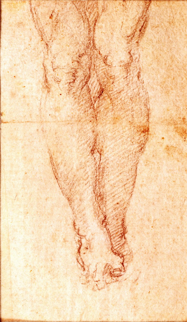 Studie für eine Kreuzigung von Michelangelo Buonarroti