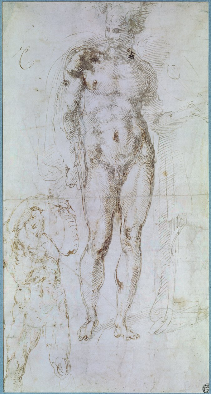 Studie für Apollo (ehemals Merkur) stehend nackt mit einem Umhang über den Schultern und die Figur eines Mannes, der eine Last trägt von Michelangelo Buonarroti
