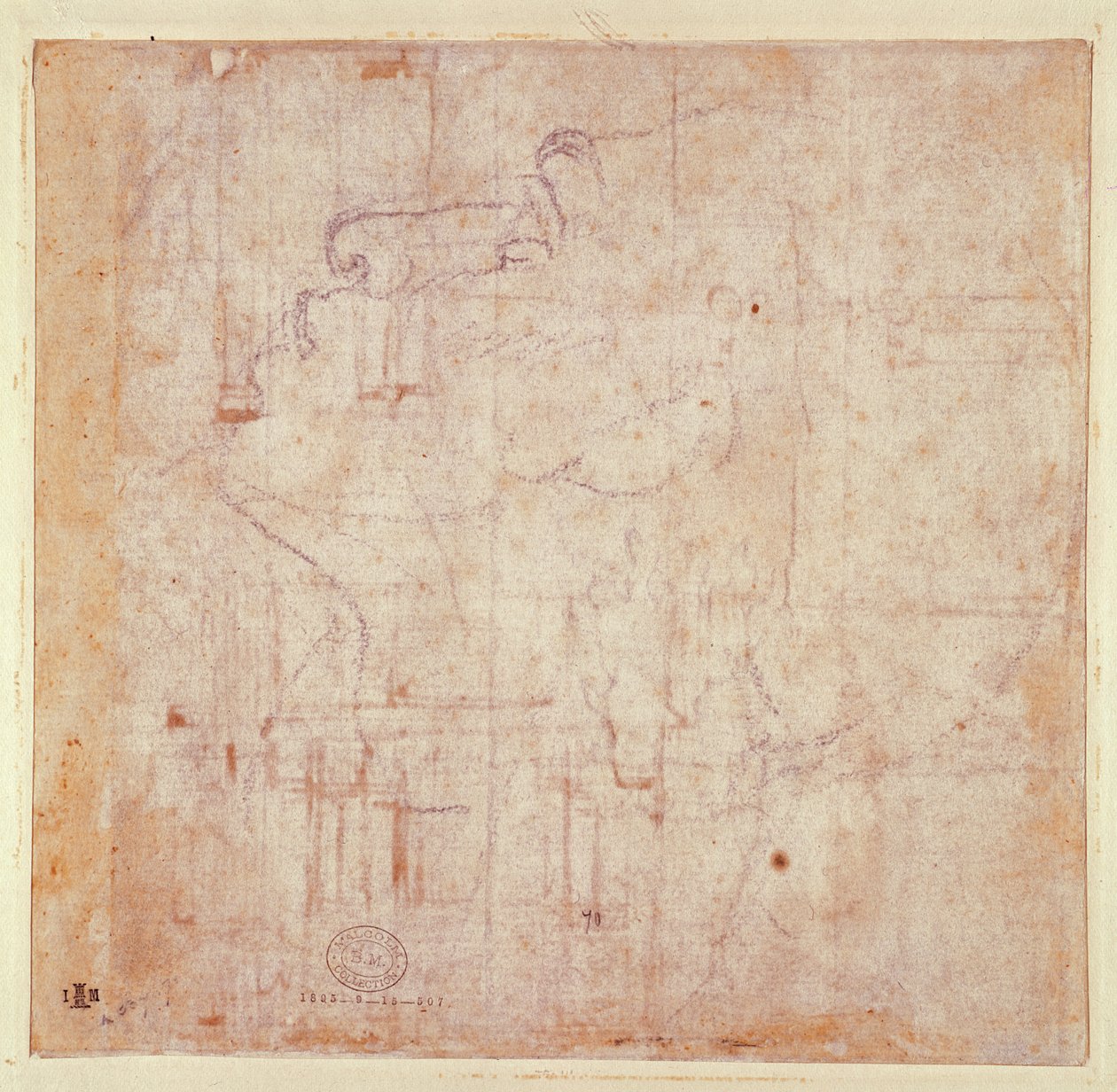 Studie eines Kopfes, 1525-26 (verso) von Michelangelo Buonarroti