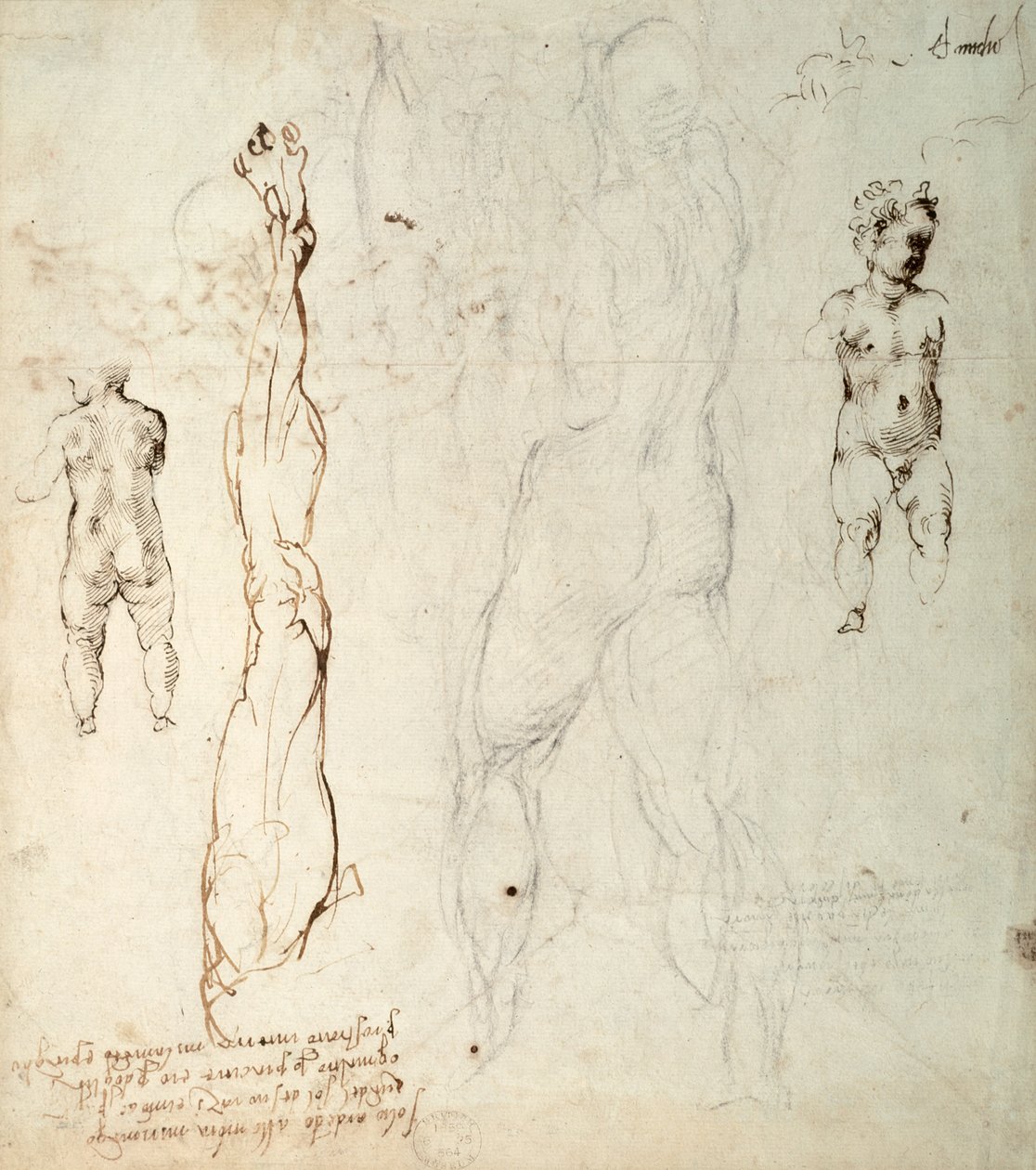 Studie des Christuskindes und eine anatomische Zeichnung mit Notizen (Schwarzkreide und braune Tinte auf Papier) (verso) von Michelangelo Buonarroti