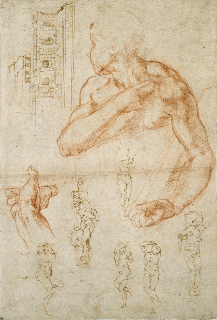 Verschiedene Studien für die Sixtinische Decke und das Grab von Papst Julius II., ca. 1490-1560 von Michelangelo Buonarroti