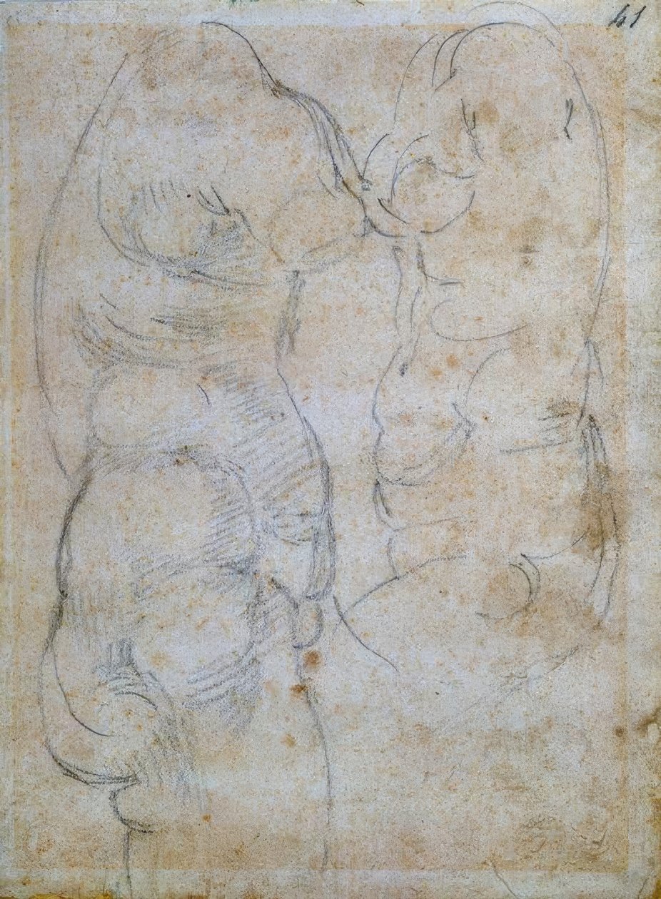 Zwei Studien nach einem antiken Frauentorso von Michelangelo Buonarroti