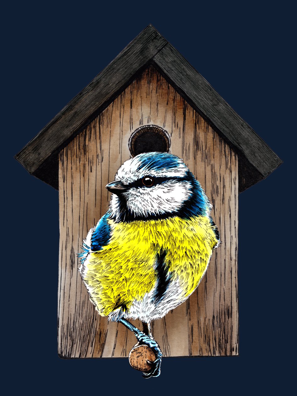 Neues Zuhause Blaumeise auf Mitternachtsblau, 2020 von Mike Davis